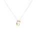 Raw Numeral 6 - Gold
