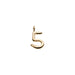 Raw Numeral 5 - Gold