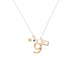 Raw Numeral 9 - Gold