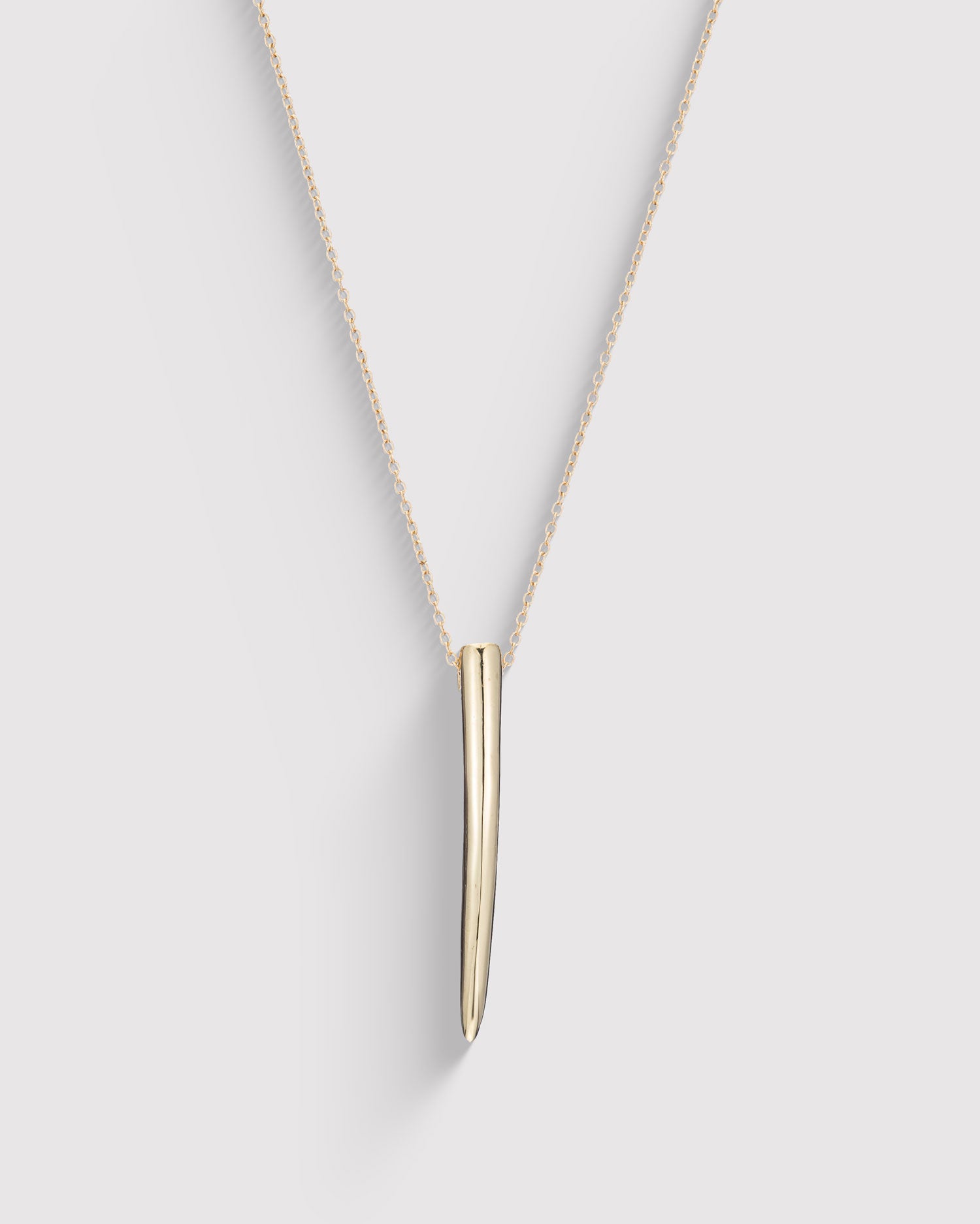 Long Horn Necklace