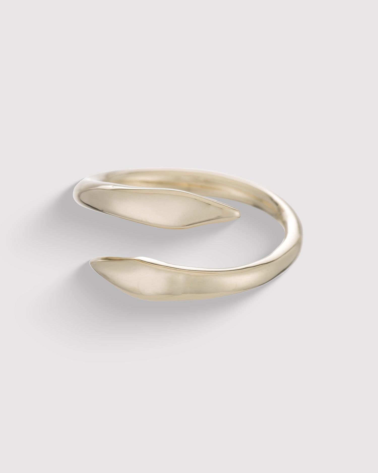 Raw Snake Ring - Gold