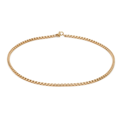 Box Chain Choker 14K Gold Filled Mara Scalise